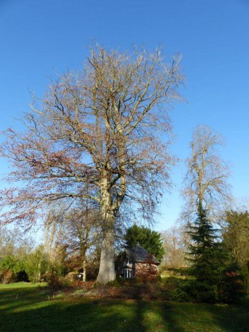 Chambre Le Notre Le Domaine Des Jardins De Bracquetuit Exterior foto